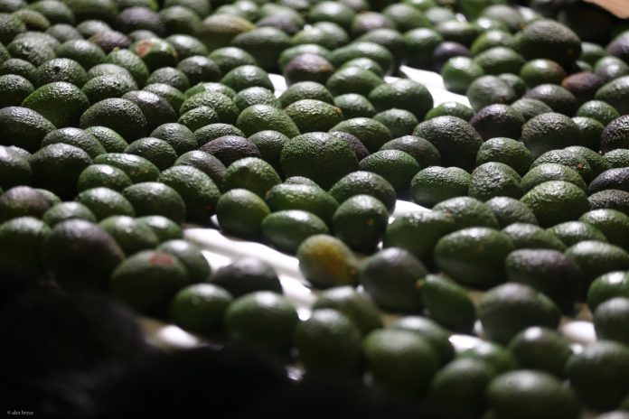 PALTA
