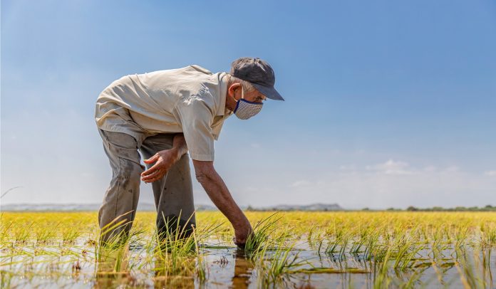 produc agrario