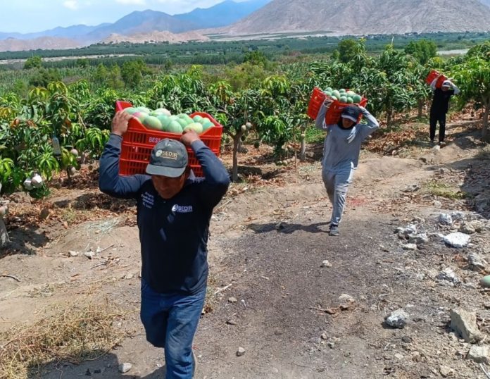 Día del Trabajo